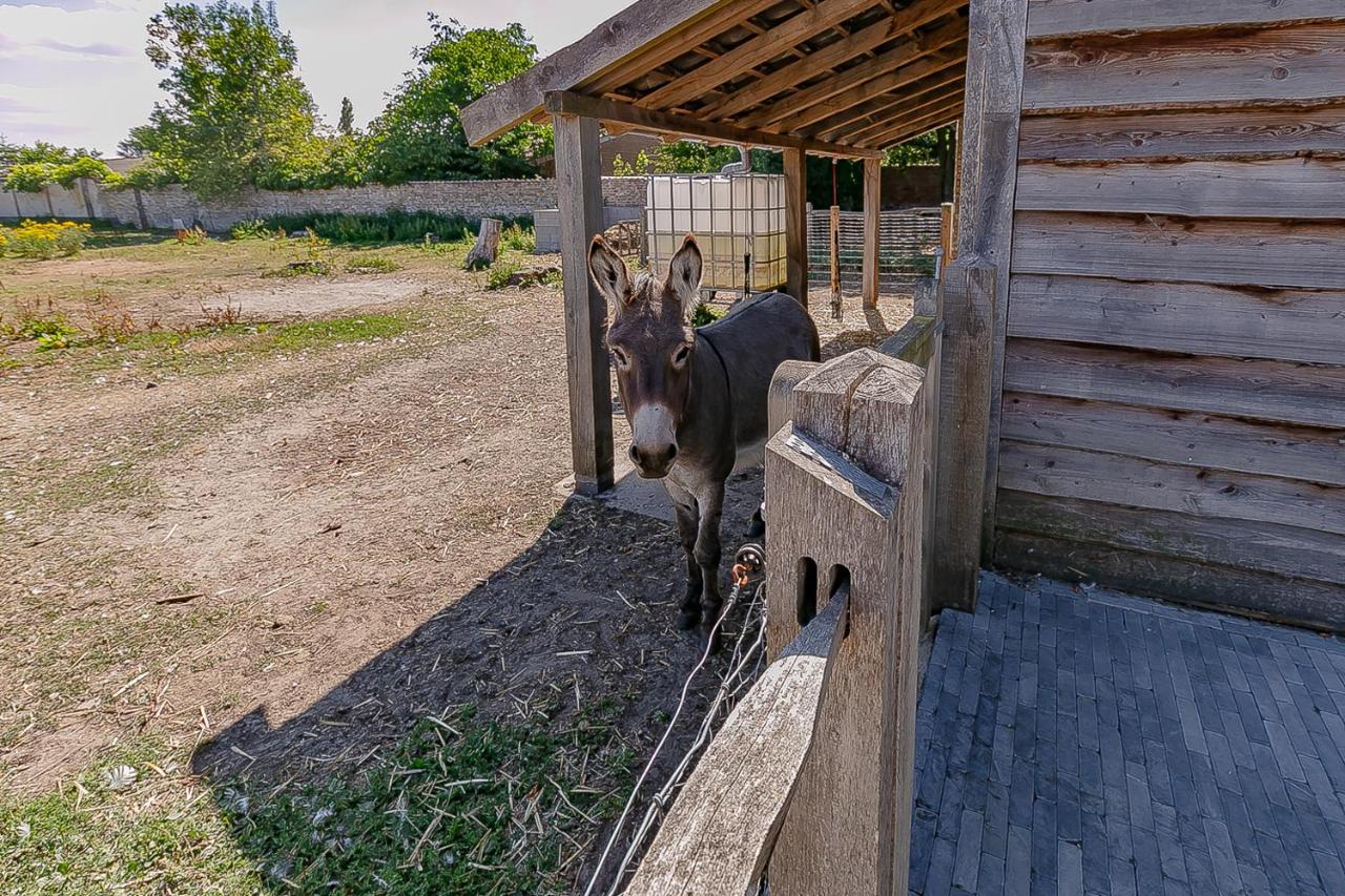 Ster 36 Villa Koekelare Exteriör bild